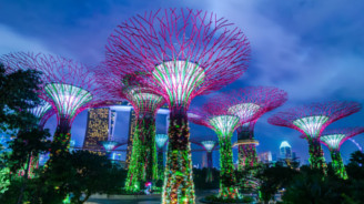 Парк деревьев в Сингапуре "Gardens by the Bay" - деревья аватар