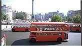 Визитная карточка Лондона - двухэтажные автобусы, а на заднем фоне Колонна Нельсона, украшающая Трафальгарскую площадь