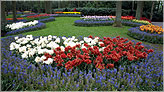 Парк цветов Койкенхоф